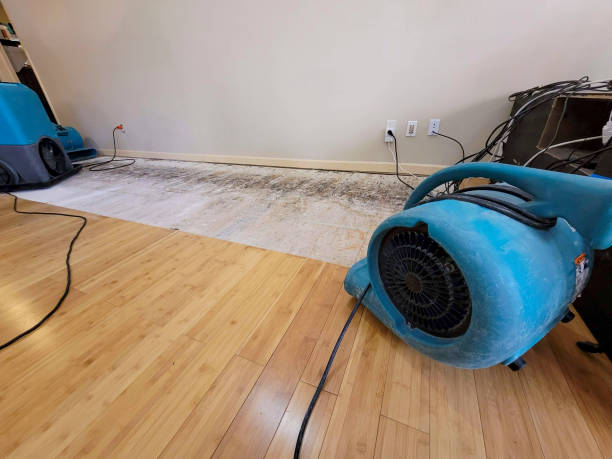 Professional Emergency Water Damage technician working in Lithonia, GA